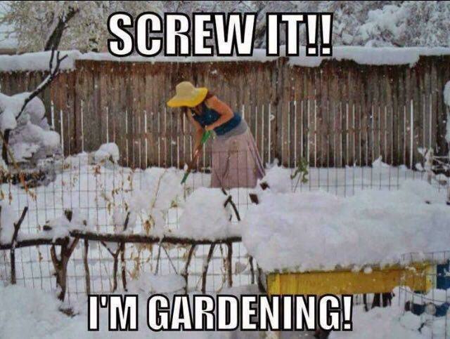 gardening-snow